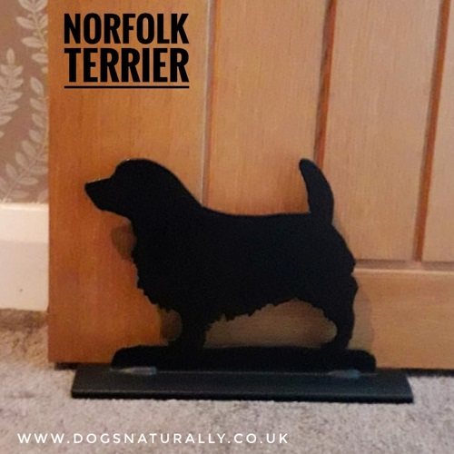 Norfolk Terrier Doorstop